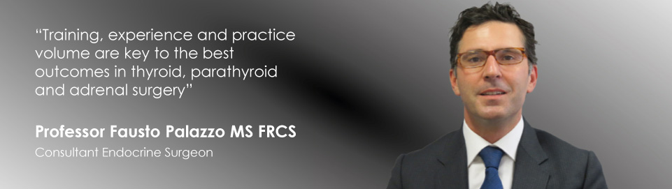 Professor Fausto Palazzo