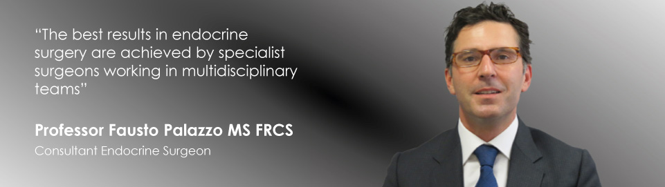 Professor Fausto Palazzo